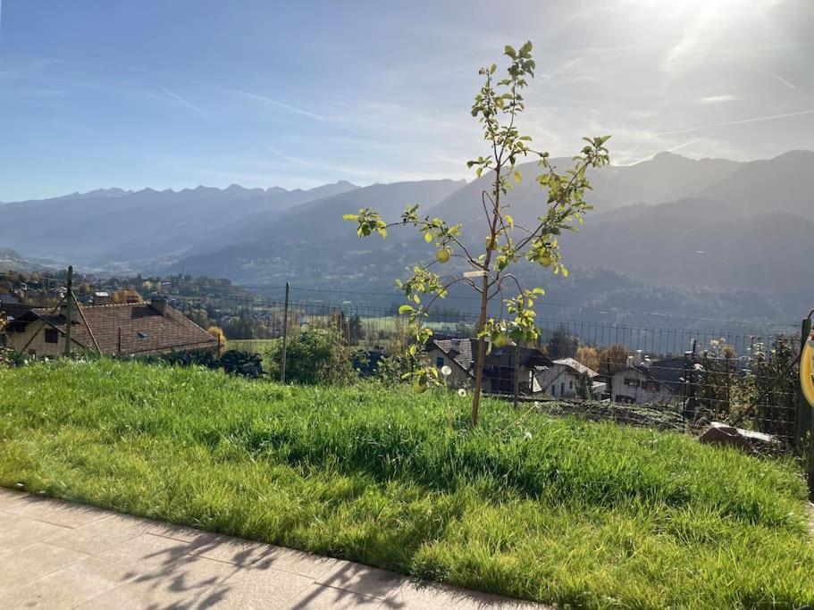 Casa Diaf Appartamento Incantevole Carano Ville Di Fiemme エクステリア 写真